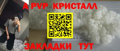 шишки Донской