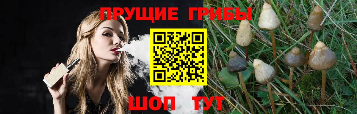 Псилоцибиновые грибы GOLDEN TEACHER Новозыбков