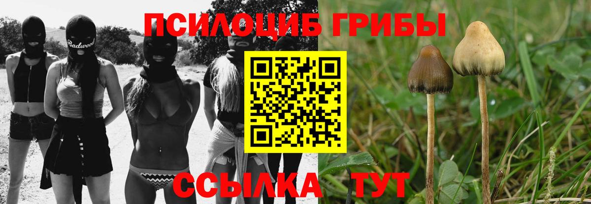 Псилоцибиновые грибы мицелий  Вход с VPN  Новозыбков 